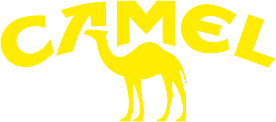 camel